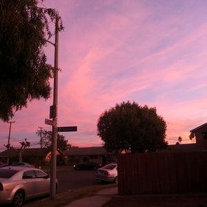 Meet your Posher, Daisy